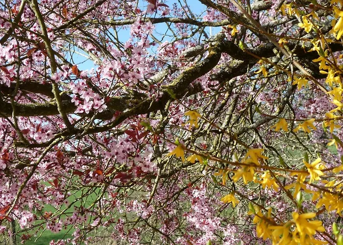 D'hotes La Charriere